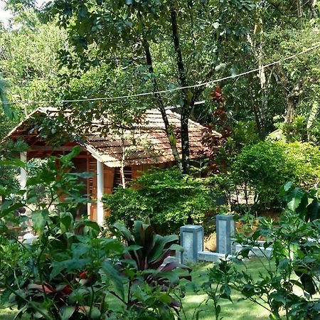 Leisure Vacations Whispering Woods Hotel Madikeri Exterior photo